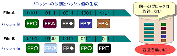 20081030_fig2.gif