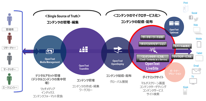 LiveSite概要