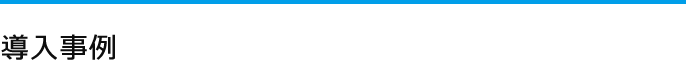 IBM Maximo機能拡張