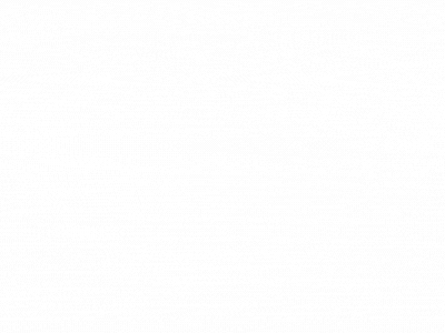 資料チラ見せgif