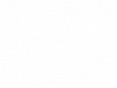 資料チラ見せgif