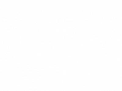 資料チラ見せgif