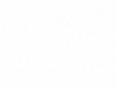 資料チラ見せgif