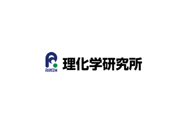 事例デフォルト画像