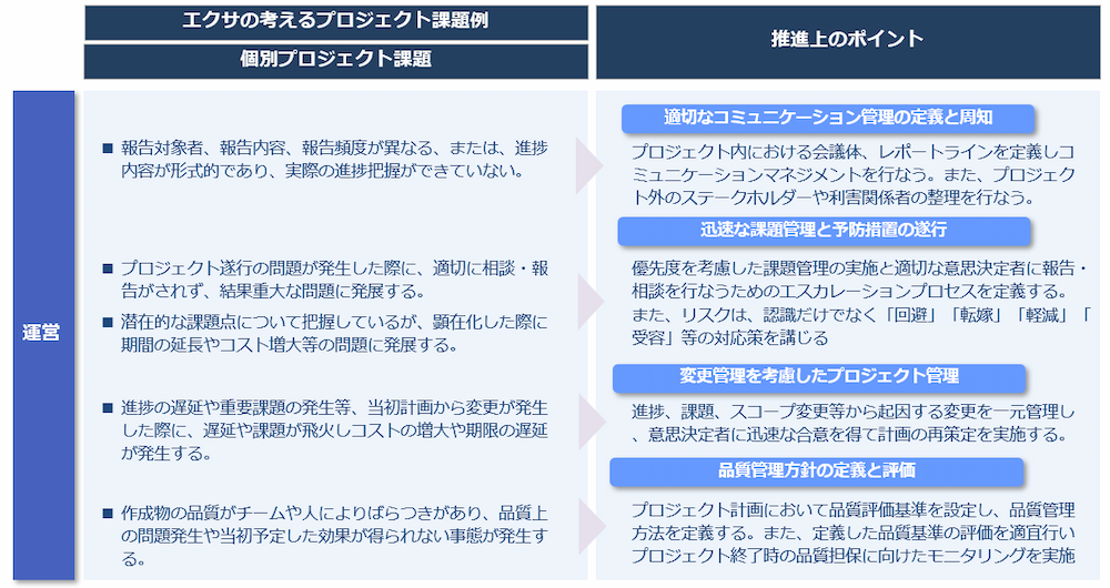 プロジェクト推進上のポイント(運営:個別)