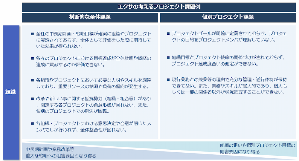 プロジェクトの課題(組織)