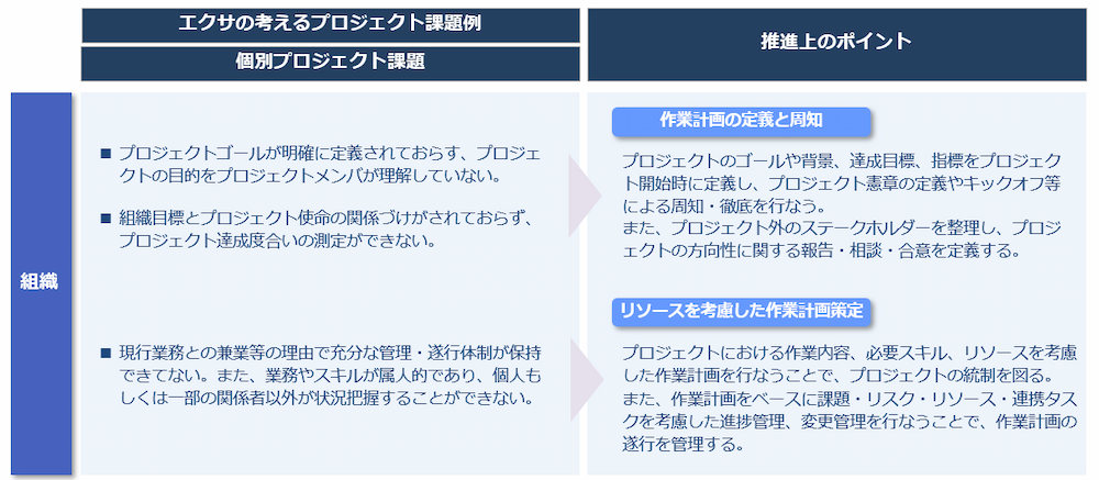 プロジェクト推進上のポイント(組織:個別)