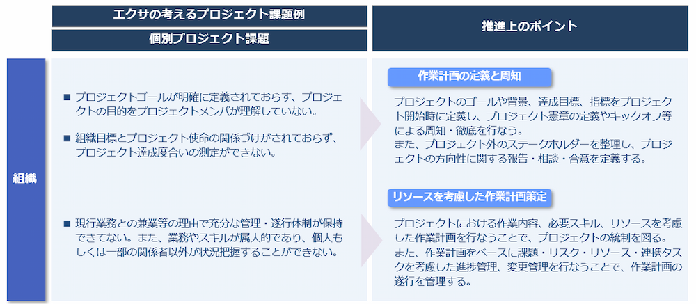 プロジェクト推進上のポイント（組織：個別）