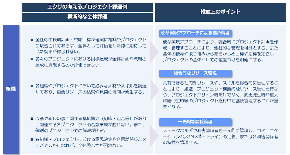 プロジェクト推進上のポイント(組織:横断)