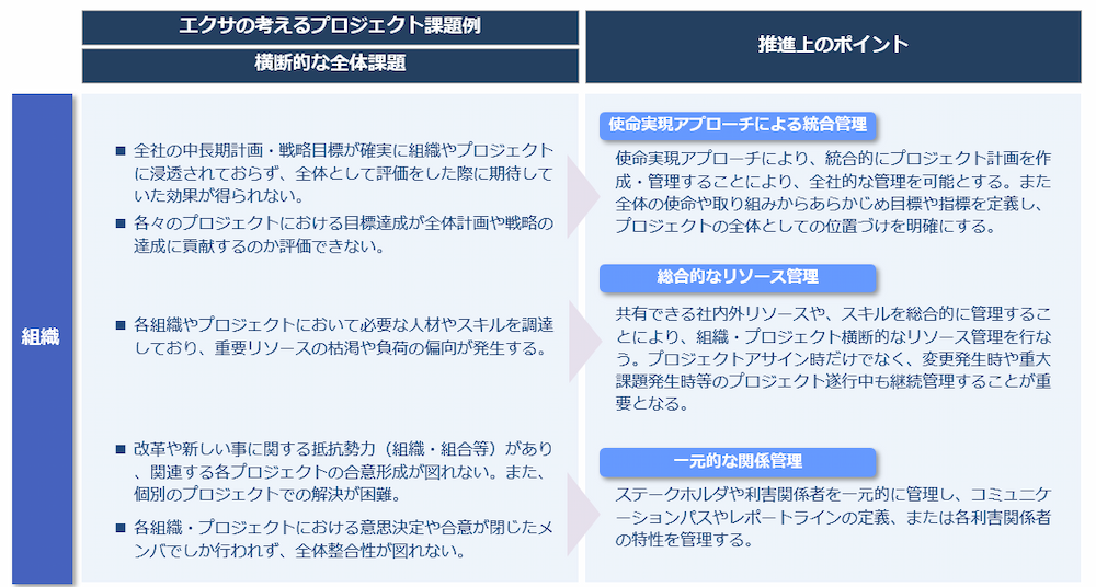プロジェクト推進上のポイント（組織：横断）