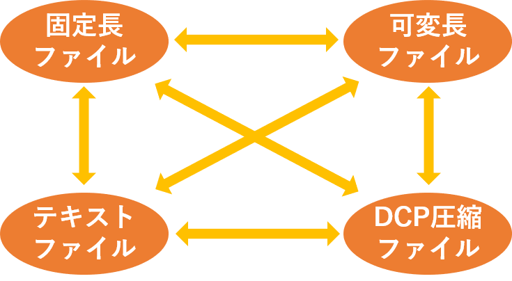 DCPファイル変換　対応ファイル